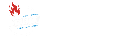 天游国际